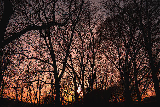 city park