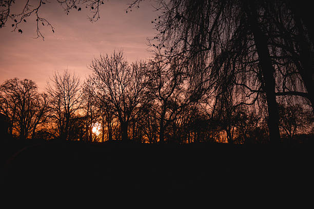 Fletcher Moss is one of the biggest public park in Manchester located in Didsbury.