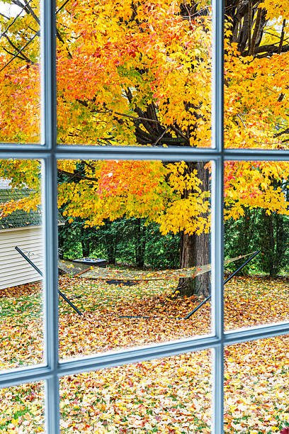 istock Looking Through Bay Window at Bright Autumn Leaf Colors 2250380634