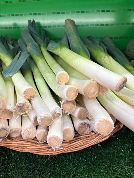 a lot of green fresh celery in the basket