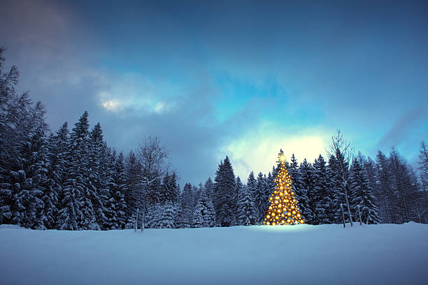istock Christmas background with lights for fir tree in a winter forest. 2250385560