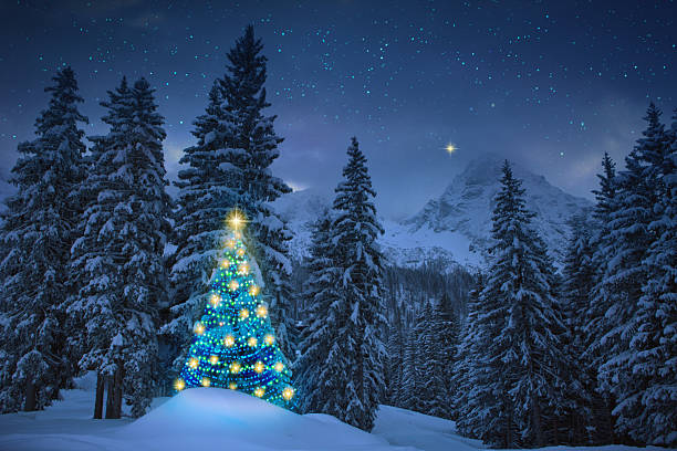 istock Christmas background with glowing pine tree in a winter forest. 2250385717