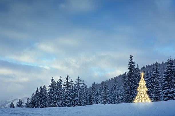 istock Christmas tree in the winter forest at night . 2250386033