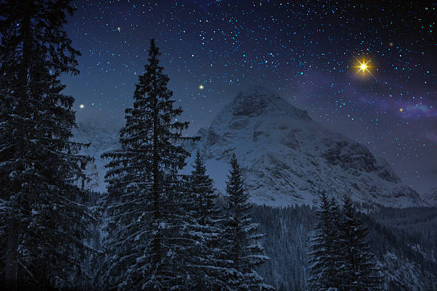 Winter forest with full moon and abstract stars sky.