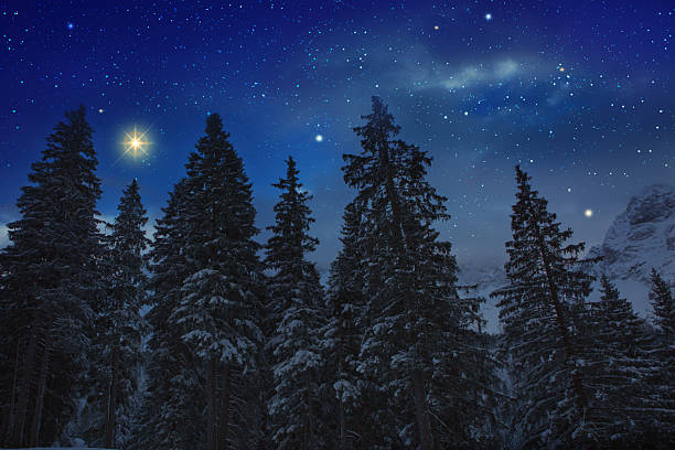 istock Starry night sky over trees silhouette, winter background. 2250386510