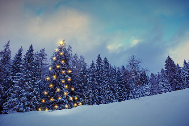 istock Christmas background with lights for fir tree in a winter forest. 2250388101