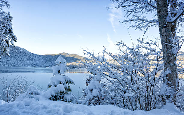 istock Forest lake and snow-covered winter trees . 2250389417
