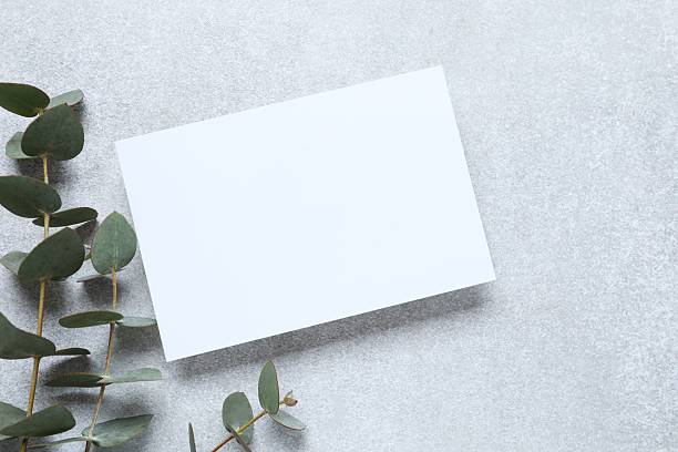 istock Romantic flat lay witn paper envelope, blank card, eucalyptus branches on marble. Ideal for wedding invitations, event announcements, or feminine branding 2250393390