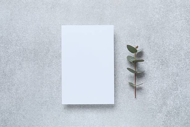 istock Greeting card mockup with eucalyptus branch. Empty greeting card for text design 2250393407
