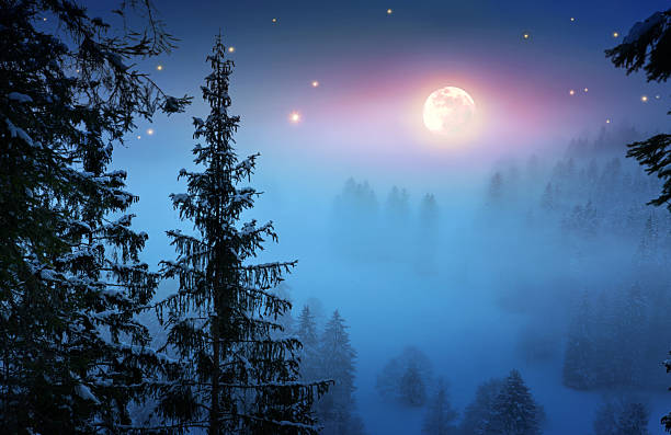 istock Winter forest with full moon and stars sky. 2250393697