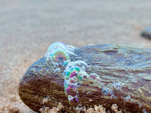 Iridescent bubbles on a rock at low tide at Blyth in Northumberland