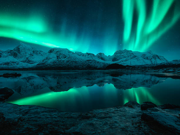 Aurora borealis over the snowy mountains, frozen sea, reflection in water at winter night. Lofoten, Norway. Northern lights and snowy rocks. Landscape with polar lights, starry sky and fjord. Scenery