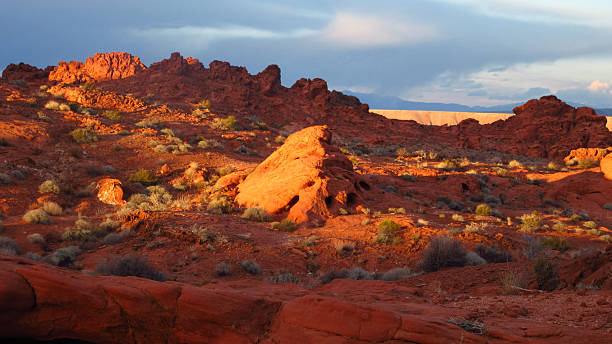istock Red Rock Formations at Sunset in Valley of Fire 2250400494