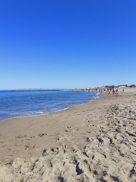 Summer beach with swimmers and umbrellas