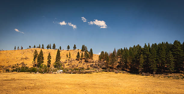 istock Colorado rockies ranch buildings in open field 2250408227