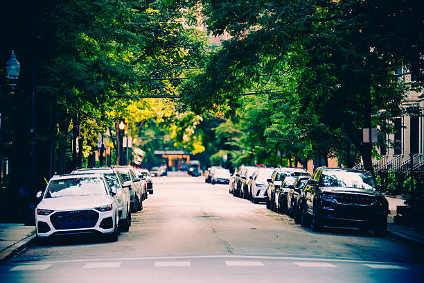 A large number of cars clutter the pedestrian sidewalks of a narrow street in the early morning under the shade of green trees, image with copy space.