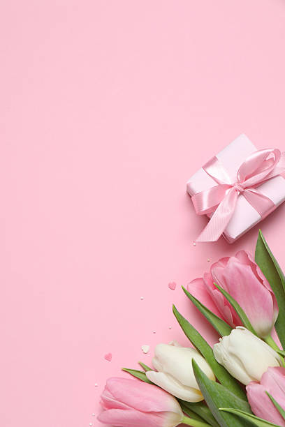 istock Beautiful fresh tulips with gift box on color background 2250414173