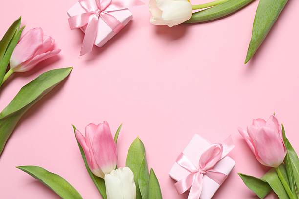 istock Beautiful fresh tulips with gift boxes on color background 2250414217