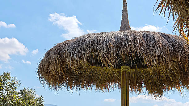 istock Thatched roof in the grass 2250418242