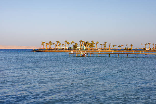 istock Tropical beach with pier, palm trees, and clear blue sea 2250419334