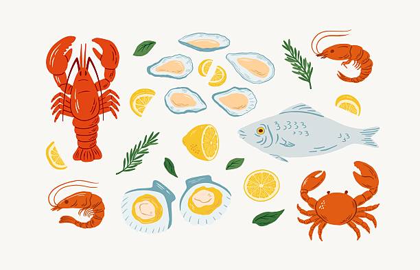 Hand drawn seafood set with lobster, fish, crab, shrimps, oysters, scallops and lemons vector illustration