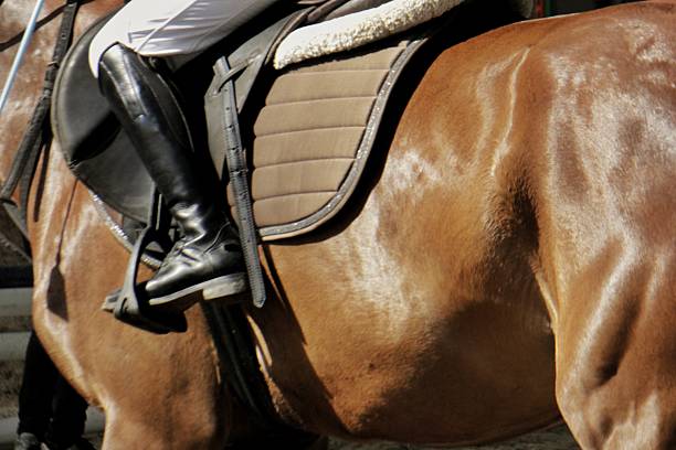Young woman trainer riding a beautiful horse