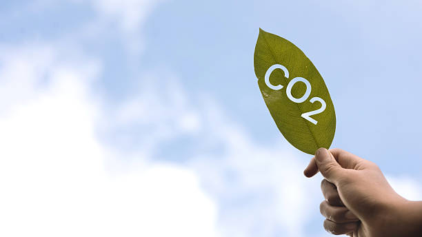 istock Eco CO2 reduction and carbon footprint awareness concept 2250440475