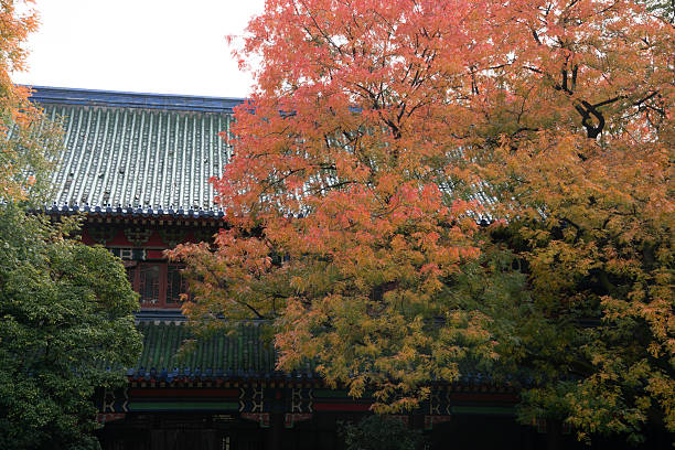 autumn scenery