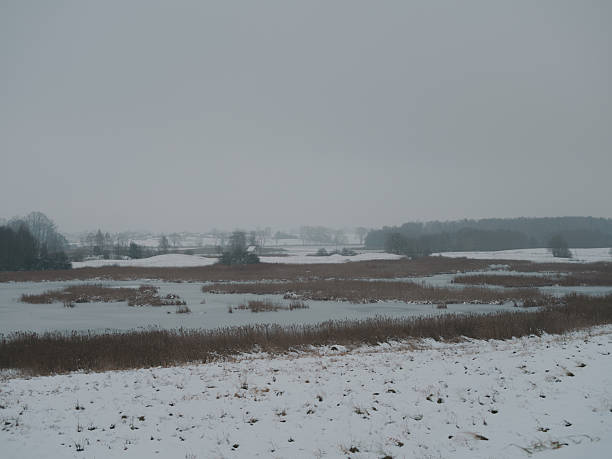 istock Frozen winter lake surrounded by snow-covered fields and distant bare trees under a muted turquoise sky  calm, atmospheric and minimalistic cold-season rural landscape 2250445842