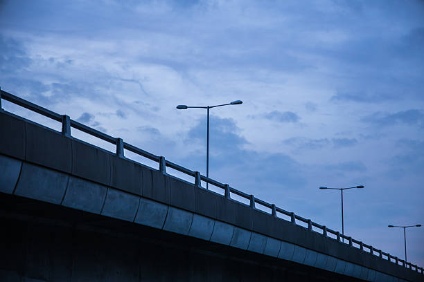 An elevated highway captured during twilight with silhouetted streetlights and a moody blue sky, creating a serene urban atmosphere.