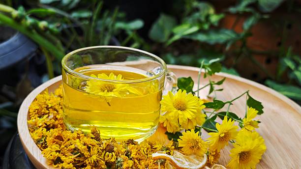 istock Chrysanthemum tea. Herbs and medical drink. 2250446977