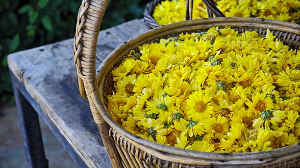 istock Yellow chrysanthemum flowers in a basket. 2250447022