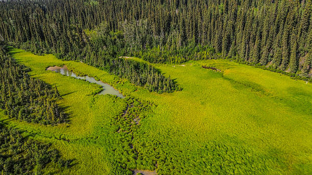 istock The Valley in Full Breath 2250447707