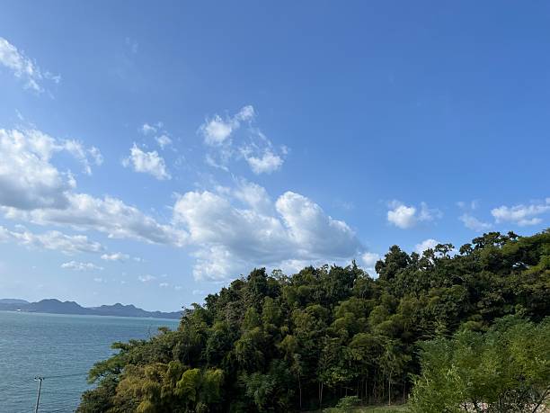 istock The coast view in Shikanoshima island 2250450571