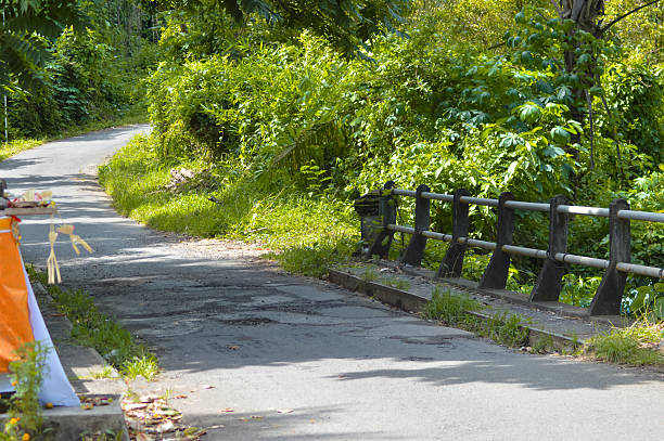 A narrow paved road curves uphill past a short railing of a small bridge. Dense tropical vegetation grows on both sides under bright sunlight.