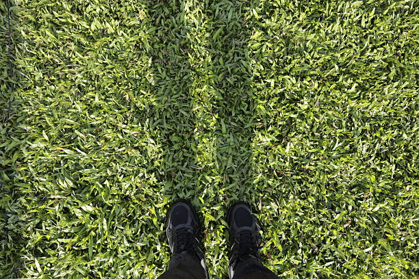 A pair of black shoes casting a long shadow on vibrant green grass, captured in warm sunlight.