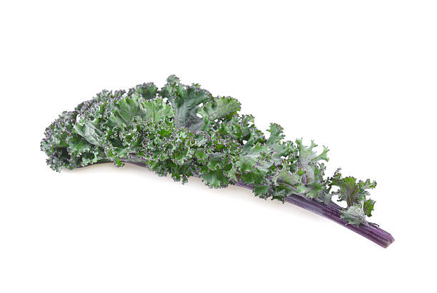 istock Purple kale leaves isolated on white background 2250454406