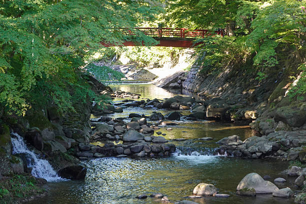 istock Stone footbridge over clear stream in forested ravine 2250460835