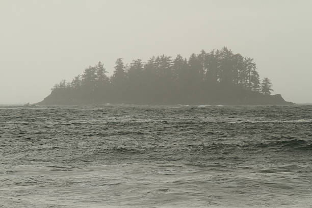 Golden-hour view of a forested island off the coast of Tofino - British Columbia, surrounded by shimmering ocean waves and rugged rocks. Serene, remote, and bathed in warm light, this tranquil coastal scene evokes natural beauty and Pacific wilderness.