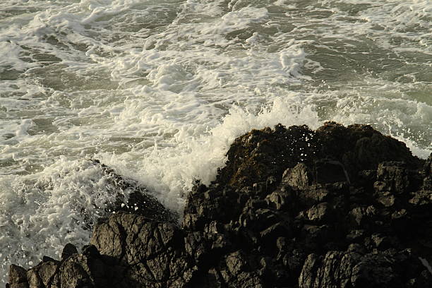 Moody coastal scene in Tofino - British Columbia featuring crashing waves, jagged rocks, and mist-covered forest cliffs. A dramatic interplay of ocean power and rugged wilderness under overcast skies.