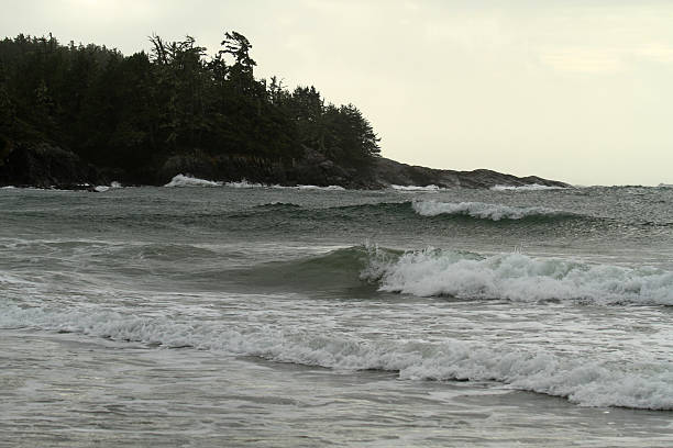 istock Wild Shoreline in Tofino 2250467668