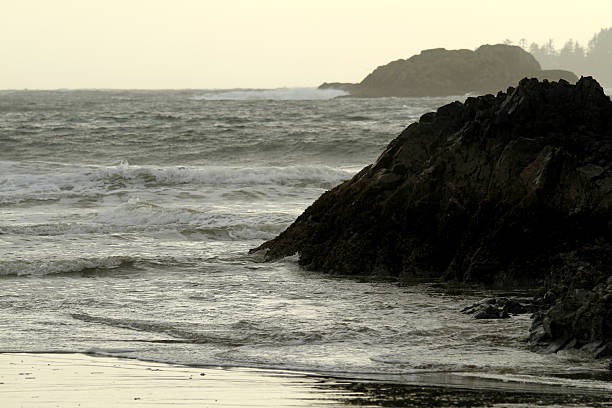Moody coastal scene in Tofino - British Columbia featuring crashing waves, jagged rocks, and mist-covered forest cliffs. A dramatic interplay of ocean power and rugged wilderness under overcast skies.