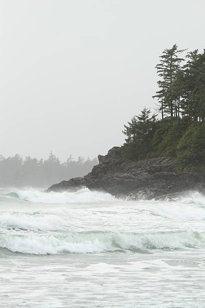 istock Misty Cliffs of British Columbia 2250467959