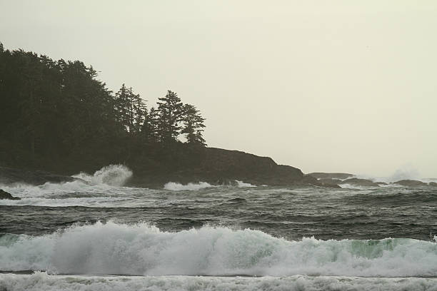 istock Wild Waters and Towering Pines 2250467988