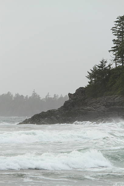 istock Fog and Fury on Canadian Shore 2250468005