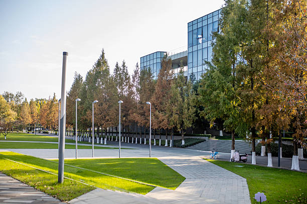 istock lawn in city 2250468536