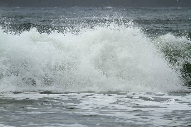 Dynamic ocean wave crashing with golden sunlight reflecting off foamy spray in Tofino - British Columbia. A powerful coastal moment capturing energy, motion, and natural beauty.