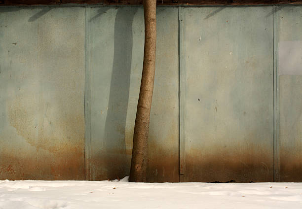 Tree near rusty metal hangar wall in winter time. Industial seasonal background.