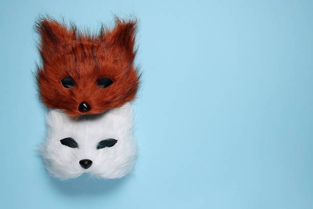 Quadrobics. Fox and cat masks on light blue background, top view. Space for text