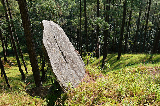 A massive rock slab rests at an angle on a grassy slope after being displaced by a landslide in a dense pine forest. The scene highlights the raw power of natural geological processes and the ever-changing landscape of mountainous regions. Ideal for themes related to natural disasters, environmental impact, geology, soil erosion, and forest ecosystems.